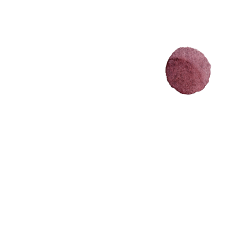 Entyce The Vibe